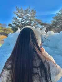 경남인도 눈이 보고싶었어요…
