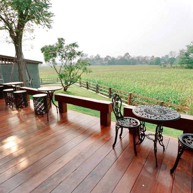 ชมสถาปัตยกรรม​ที่ทำด้วยไม้และซุงขนาดใหญ่! ๑