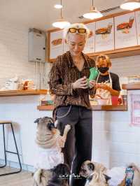 คาเฟ่น้องหมาปั๊กย่านจุฬา 🌱 The wrinkles Pug House