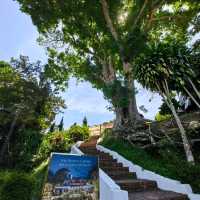 David Brown's Hilltop Garden Restaurant