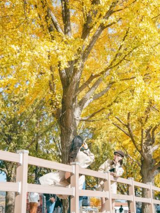 Complete guide to fall travel courses.zip 🍁