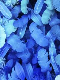 假日好去處  ︳沉浸式感官體驗