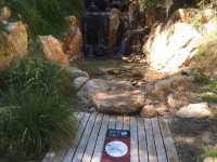 澳洲墨爾本 摩寧頓半島 🫧半島溫泉(Peninsula hot springs)