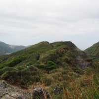 Yangmingshan: Lengshuikeng>>xiaoyoukeng trail