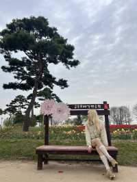 튤립이 한가득 핀 여주 금은모래강변공원💐