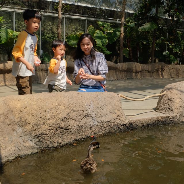 【 近距離親親小動物。神戶動物王國 】