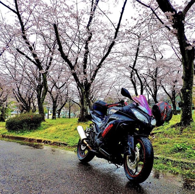 平和公園