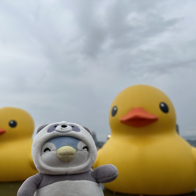 Penguins meet Rubber Ducks