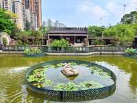 【宮廷劇御用取景場地📺~荔枝角公園🏮】