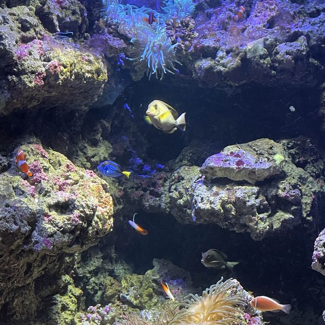 Xpark水族館