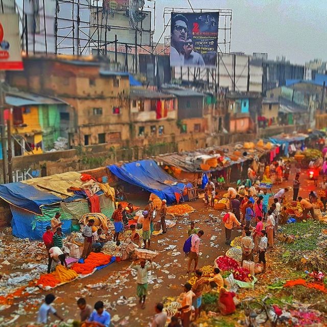 "India: Where Heaven Meets Hell"