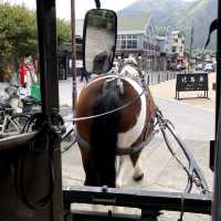 湯布院観光辻馬車