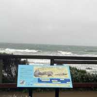 Elephant Seal Vista Point , อเมริกา