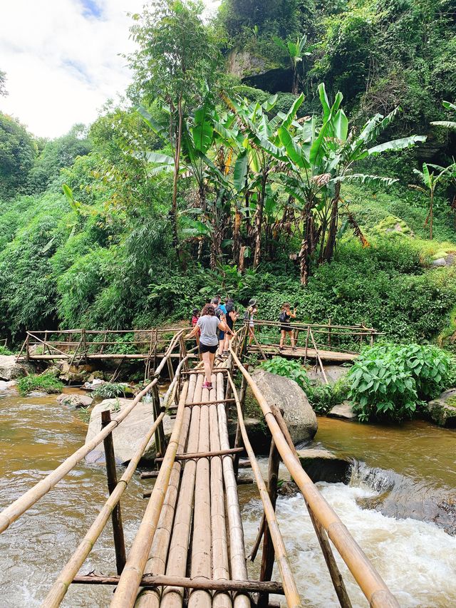 Doi Inthanon / ดอยอินทนนท์ 