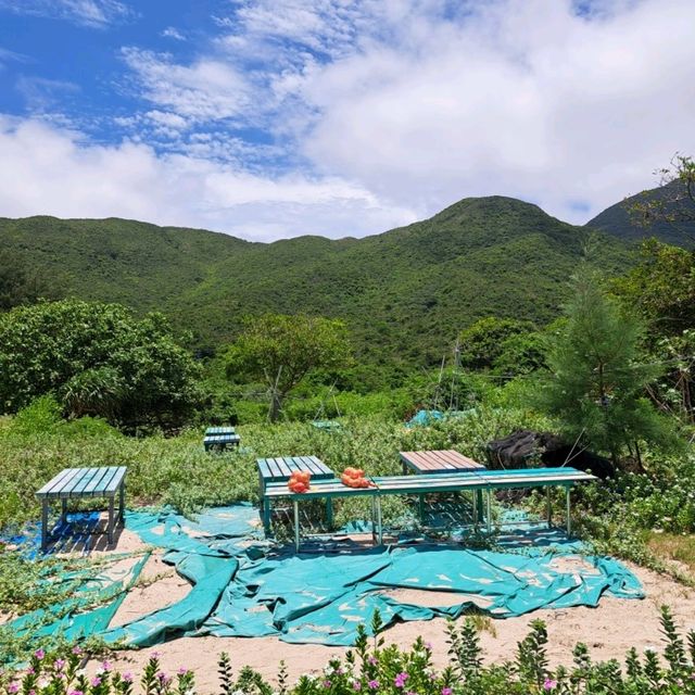 📸西貢鹹田灣💕美麗沙灘✨️清澈海水🏞享受大自然🌄