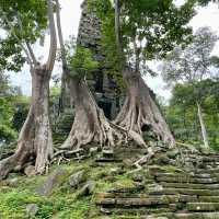 Preah Palilay - the three big trees