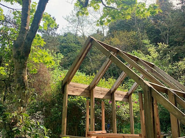 桃園東眼山國家森林公園｜美到極點的自導式步道🌳