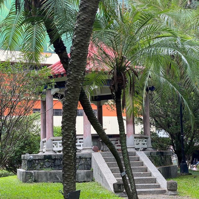 台中公園🐕