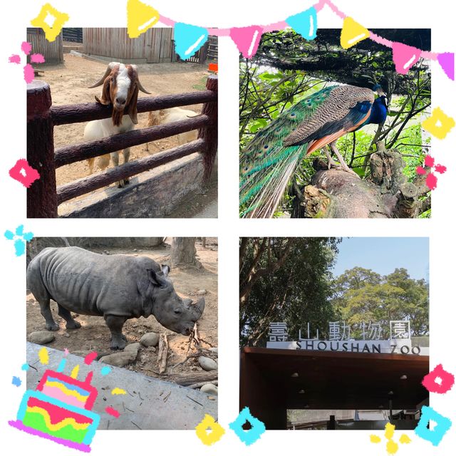 動物狂歡！高雄壽山動物園🐼🌳🦁