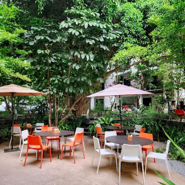 โรงแรม 4 ดาวพัทยา ราคาเบา พาน้องหมาน้องแมวมาได้!