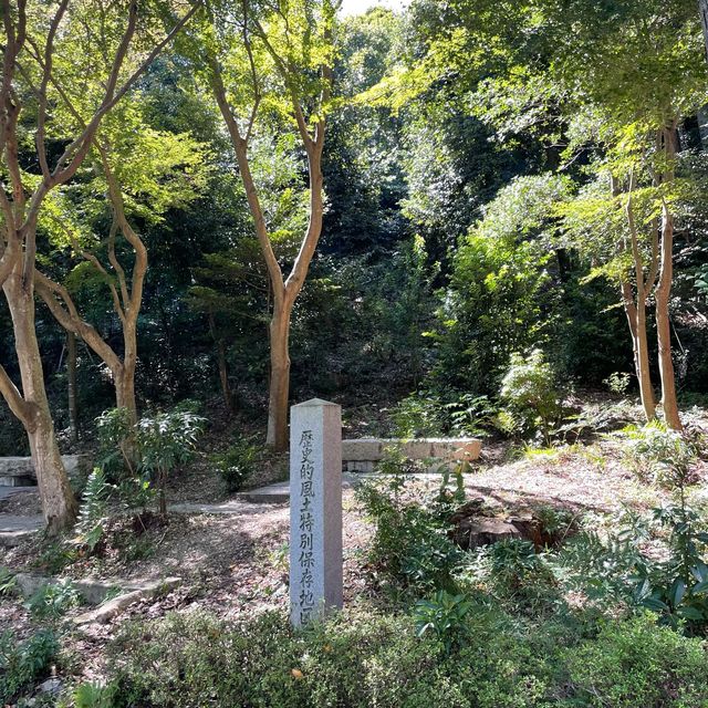 【ペットとお出かけ】小倉山の麓、小倉池をお散歩
