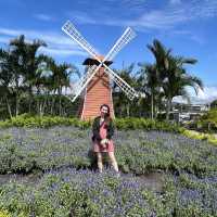 Day trip to Tai Chung 