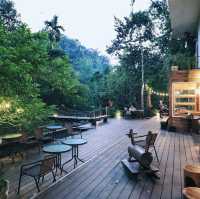 บ้านต้นไม้กลางป่าริมลำธาร บ้านในหมง treehouse 