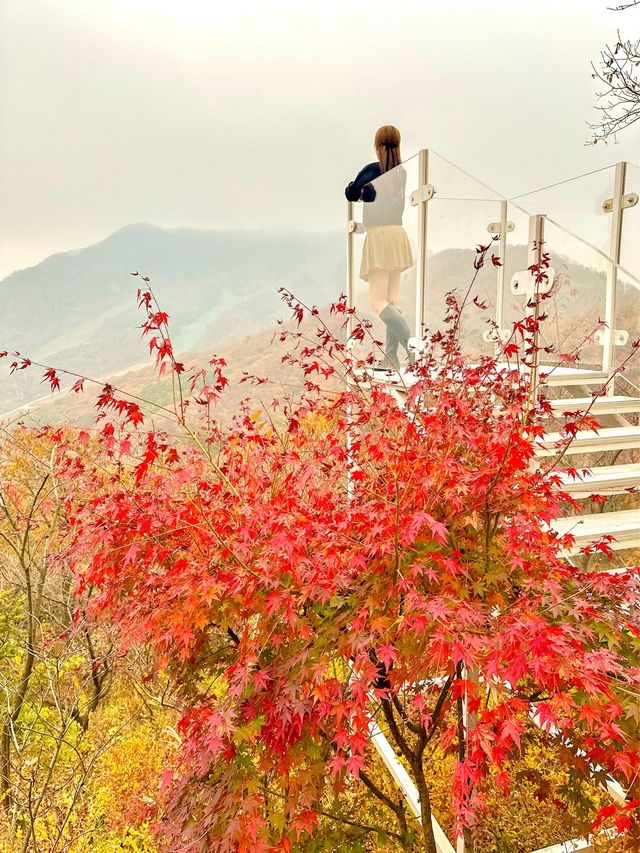 서울근교 가장 핫하다는 단풍명소 소개와 꿀팁🍁