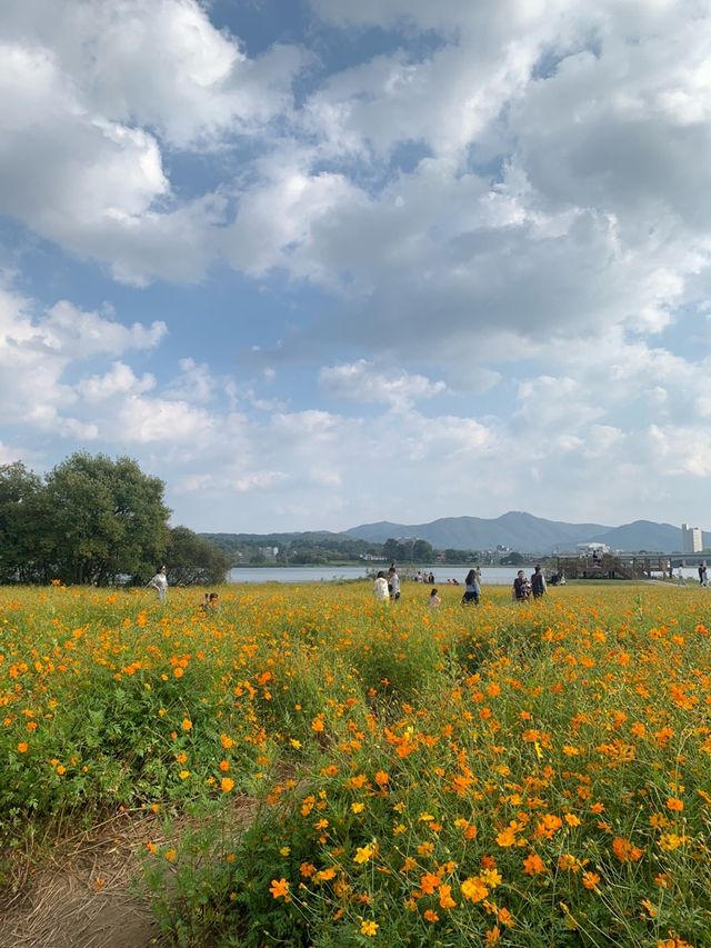 가을여행으로 딱 !! 