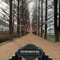 담양의 최고 관광지:메타세콰이어길