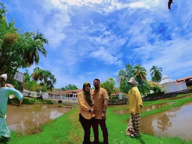 Amazing View Of Paddy Field 🫶🏻