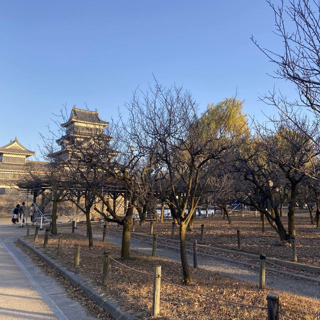 日本松本城 現存最古老嘅重六層式城鎮