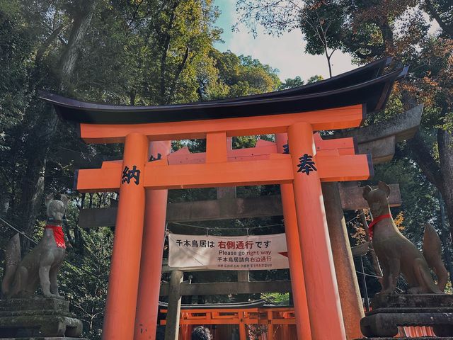 京都 | 經典橙色千本鳥居呈現眼前