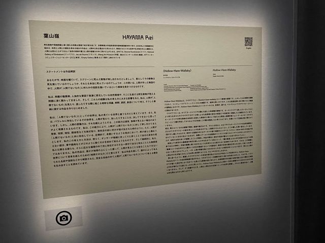 東京・恵比寿。写真と動画による作品を楽しむことができます『東京都写真美術館』