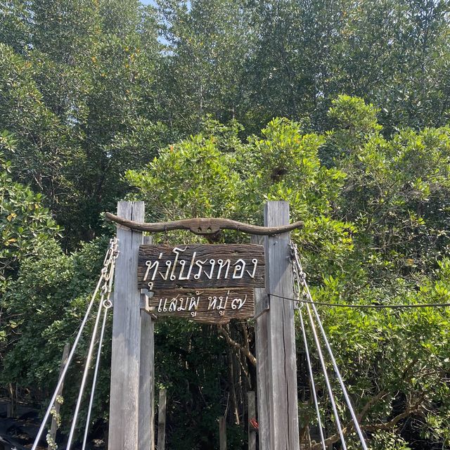 ทุ่งโปรงทอง