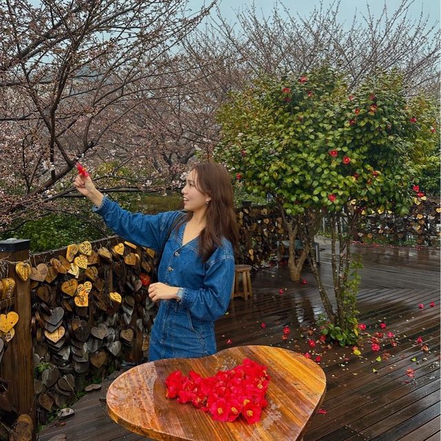 여수 가볼만한 곳 돌산공원 여수해상케이블카