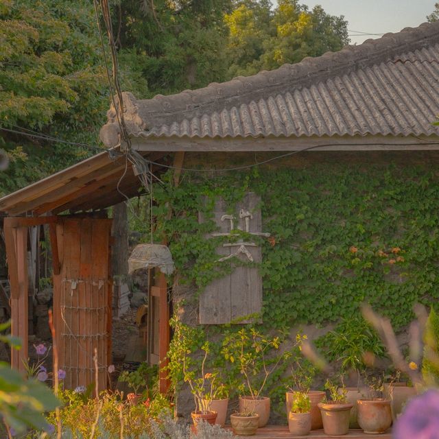 제주에서 리틀포레스트 찍기