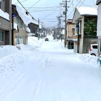 【北海道】冬の利尻島❄️絶景の島