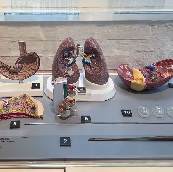 🏥 探索醫學歷史 | 香港醫學博物館🔬