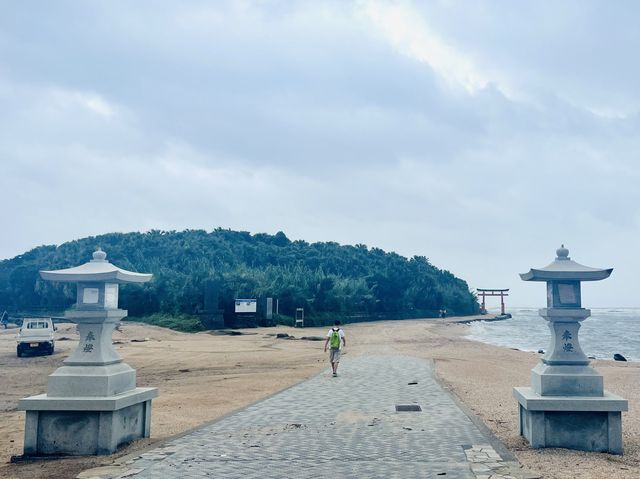 颱風下勇闖青島神社⛩️