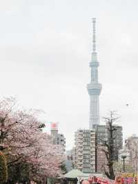 Tokyo Skytree ในมุมมองที่แตกต่างระหว่างการเดินเท้า