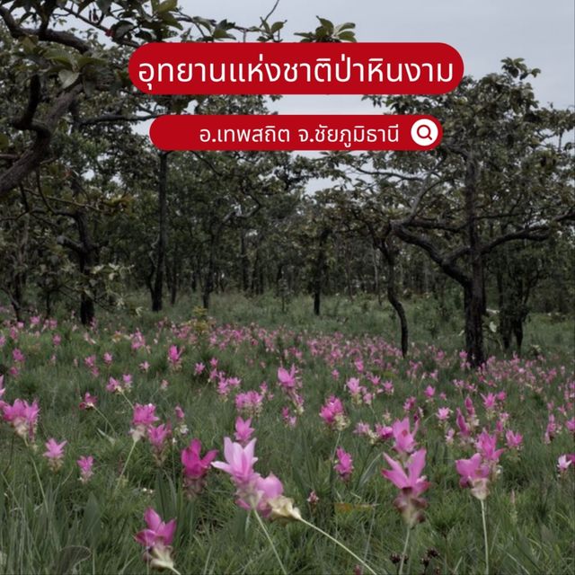  อุทยานแห่งชาติป่าหินงาม