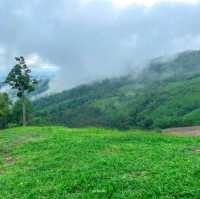 Akha Framville🐑🌳🍃