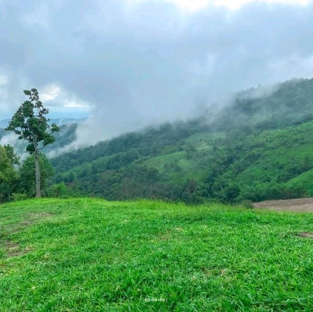 Akha Framville🐑🌳🍃