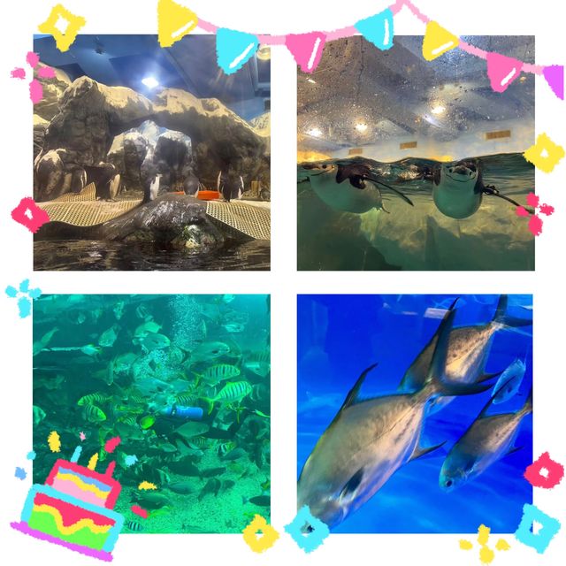 海洋奇蹟解密！屏東國立海洋生物博物館🌊🔬🐚