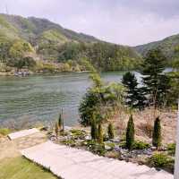 🌳 강가에 비춘 자연 풍경을 보며 힐링할 수 있는 골든트리 카페 