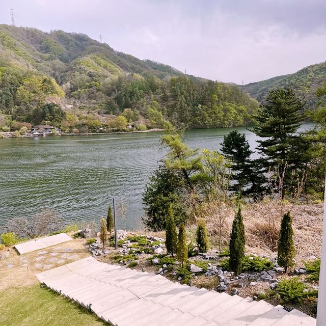 🌳 강가에 비춘 자연 풍경을 보며 힐링할 수 있는 골든트리 카페 