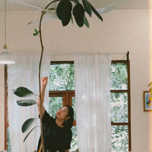 เจอ Stay with Tree Cafe🌿