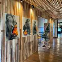 LaMaLaos Cafe 