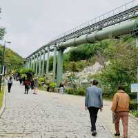 폐채석장이 자연과 예술이 함께하는 힐링의 명소로🏞